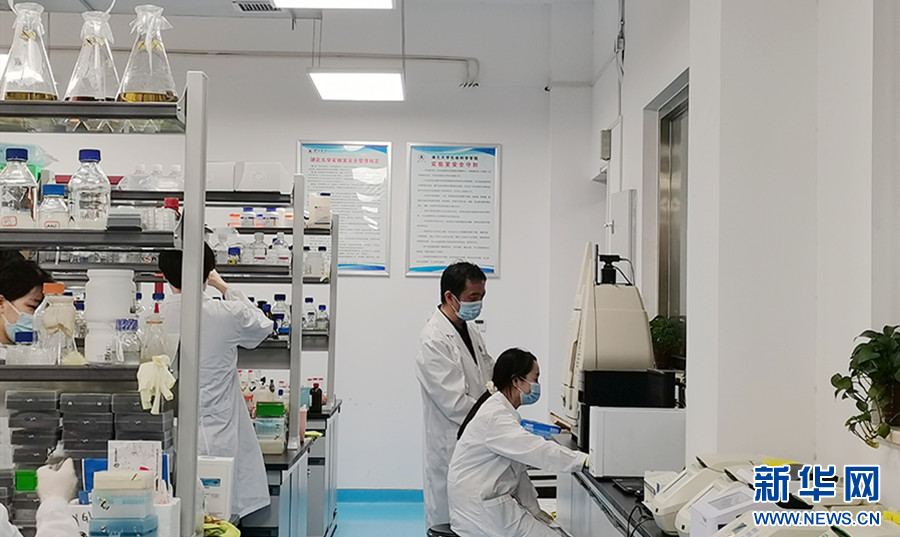 聚焦高质量发展 加速产学研用融合，湖北竞逐合成生物产业新蓝海